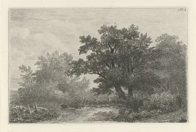 Bomen aan een plas
