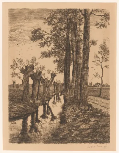 Bomen aan een sloot