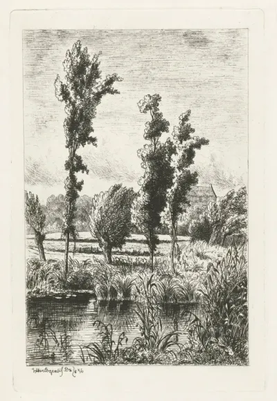 Bomen aan een sloot
