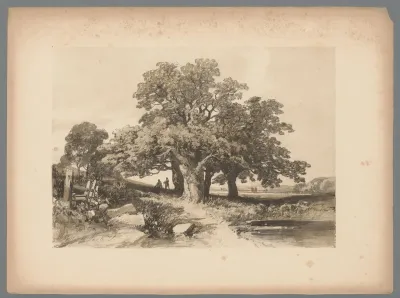 Bomen aan een water in Bradgate Park