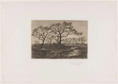 Bomen aan een waterplas