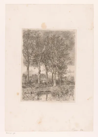 Bomen aan het water met op de achtergrond bebouwing