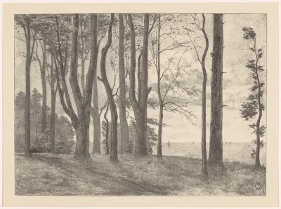 Bomen aan water met zeilboten