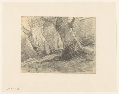 Bomen, Baarn