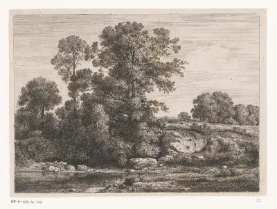 Bomen bij de oever van een poel