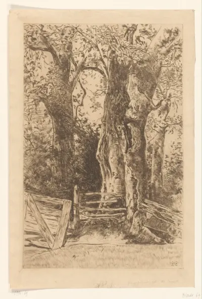 Bomen bij een hek