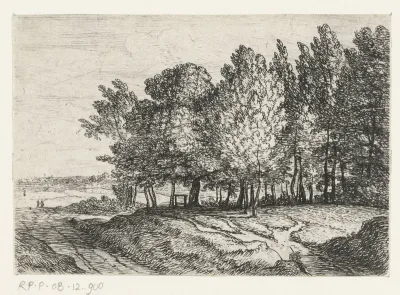 Bomen bij een pad