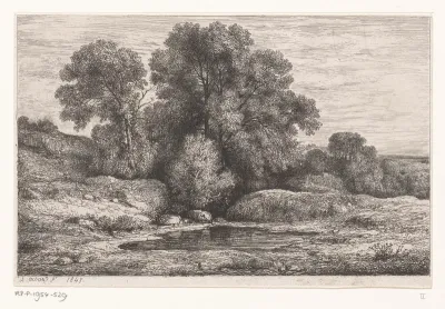 Bomen bij een poel