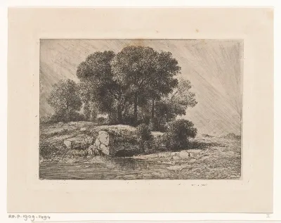 Bomen bij een poel