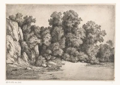 Bomen bij een rotswand