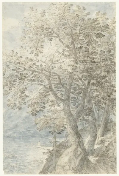 Bomen bij steile rotswand