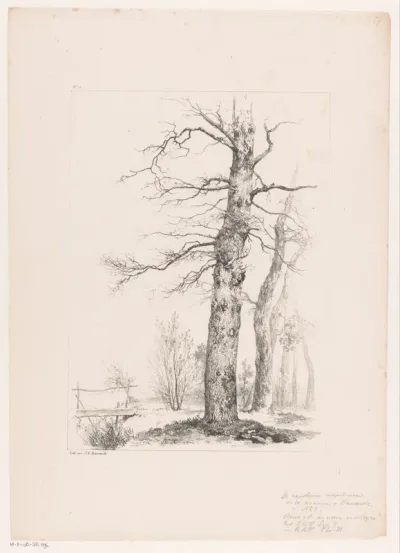 Bomen en brug in landschap
