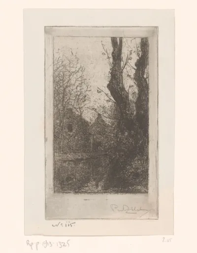 Bomen en huizen aan water