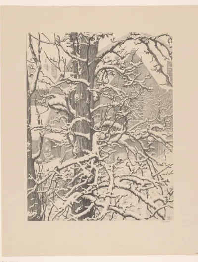 Bomen en huizen in de sneeuw