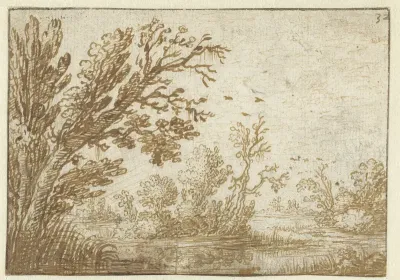 Bomen en struiken langs kronkelend water