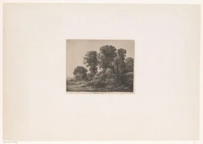 Bomen en struikgewas op een heuvel
