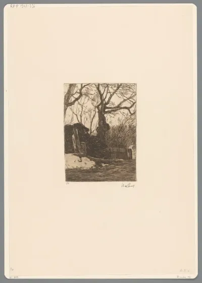 Bomen en takkenbossen bij een hek