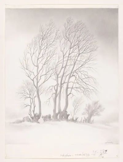 Bomen in de sneeuw