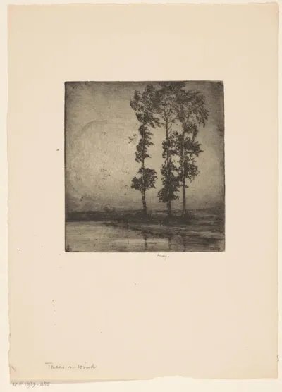 Bomen in de wind