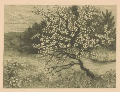 Bomen in een glooiend landschap