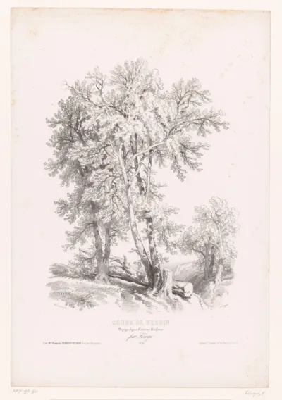 Bomen in een landschap