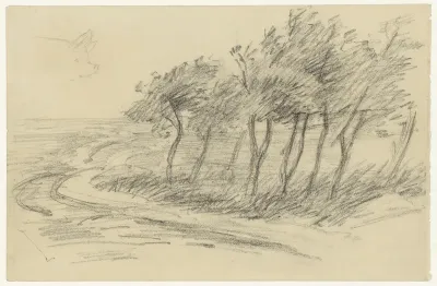 Bomen in een open landschap