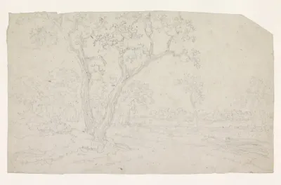 Bomen in een vlak landschap