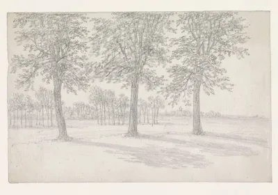 Bomen in een weiland