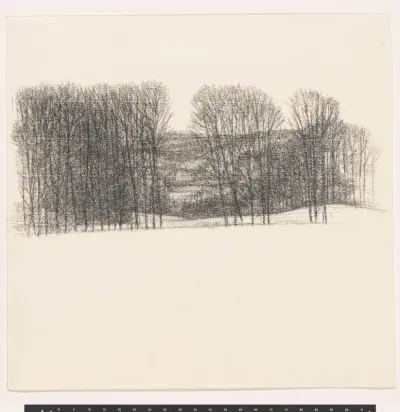 Bomen in glooiend landschap