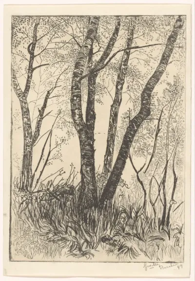 Bomen in hoog gras