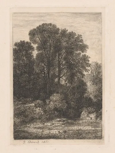 Bomen langs de oever van een beek