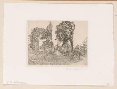 Bomen langs een pad