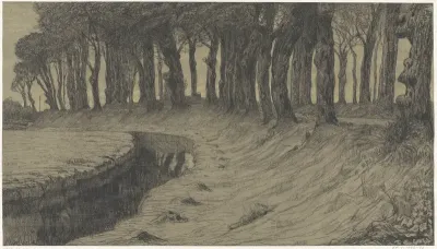 Bomen langs een weg over een dijk of wal