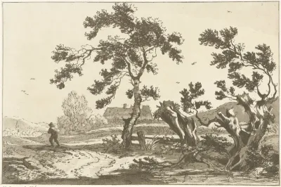 Bomen langs een weg