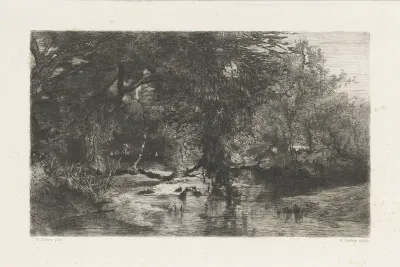 Bomen langs het water