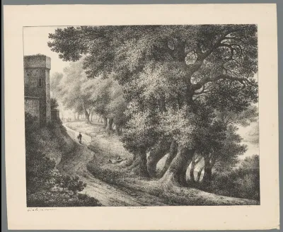Bomen langs waterkant