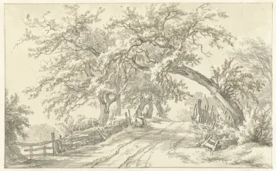 Bomen langs weg bij Broekhuizen in Drenthe