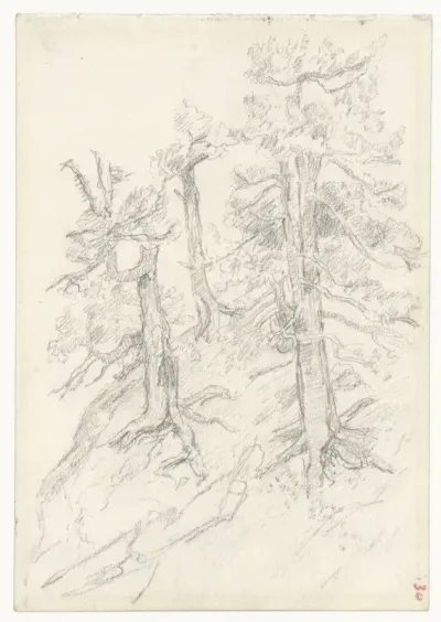 Bomen op een helling