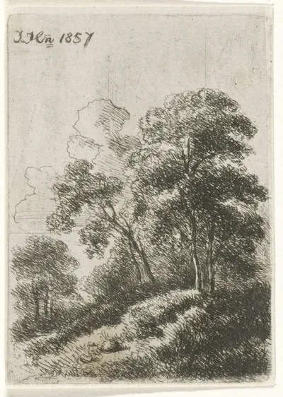 Bomen op een heuvel