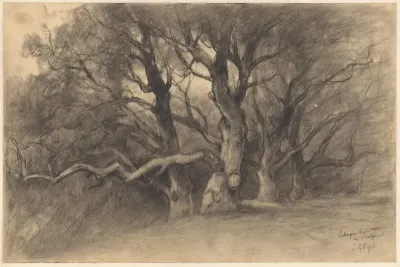 Bomen op het schapenduin bij Santpoort