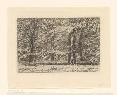 Bomen op landgoed Kasteel Groeneveld