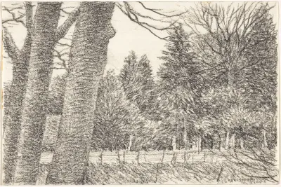 Bomen rond akkers