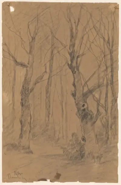 Bomen te Ruurlo