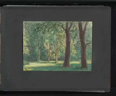 Bomen te Wiesbaden