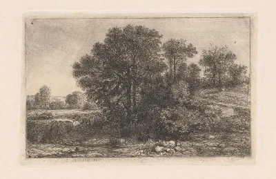 Bomen tegen een helling