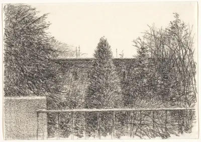 Bomen tussen bebouwing