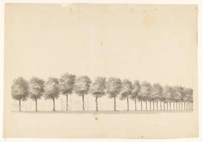 Bomenallee te Batavia