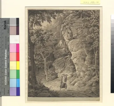 Bondekone på vej gennem klippefyldt skov