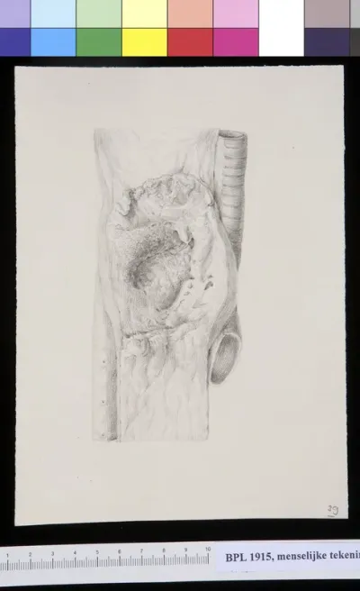 Bone (thigh bone?)