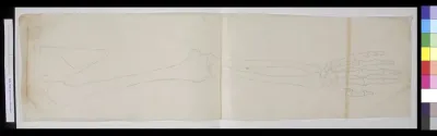 Bones of shoulder, arm and hand